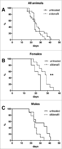Figure 4. Effect of sildenafil on survival of PDAC-bearing mice. Survival of all animals (A), female (B), or male mice (C) was evaluated with Kaplan–Meier curves, **p < 0.01.