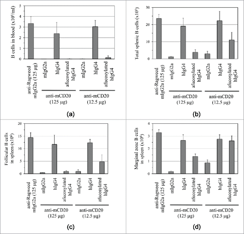 Figure 4. Depletion of B cells upon single intravenous injection of 5D2.mIgG2a, 5D2.hIgG4 (CHO), or 5D2.hIgG4 (Fut8-KO-CHO) relative to isotype control (anti-ragweed.mIgG2a) in human FcγRIIIa transgenic mice. Two doses were tested (12.5 µg and 125 µg) with the B cells determined by FACS analysis. B cell levels are shown for (A) blood, (B) total spleen, (C) splenic follicular B cells, and (D) splenic marginal zone B cells. B cell levels shown are for 5 d post antibody injection except for blood B cells where levels at 2 d are shown.