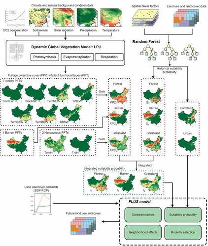 Figure 1. Flowchart of this study.