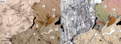 Figure 3. Thin section image of sample QH03 showing hornblende (HBL), sericitized and partially cataclased plagioclase (PL), ilmenite (ILM), clinopyroxene (PX) and fresh unaltered biotite (BT). PPL = plane polarised light. CPL = cross polarised light.