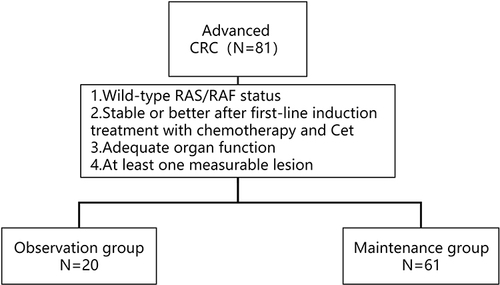 Figure 1 Inclusion criteria and treatment pattern.