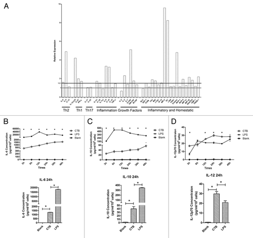 Figure 2. The immune stimulation effect of CTB identified on BMDCs at multiplex levels. (A) Cytokines and chemokines induced 24 h after exposure to CTB. BMDCs were stimulated with either medium or 1μg/mL CTB. Supernatant was harvested 24 h later and analyzed for the presence of cytokines and chemokines according to the manufacturers’ instructions. Expression levels elevated by more than 1.5-fold relative to control were identified as upregulated. Moreover, the time-course and quantitative analysis of cytokines secreted by BMDCs post adjuvants stimulation was evaluated. The concentration levels of IL-6 (B), IL-10 (C), and IL-12 (D) at different time points were evaluated using quantitative ELISA, data from triplicate cultures are shown as mean ± SD *indicates significant difference (P < 0.05) when comparison CTB used with negative or positive control groups.