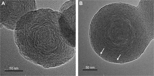 Figure 2 TEM images of BNNS (A) and BNNS-FA/DOX complexes (B). The white arrows indicate the loaded DOX. (Magnification 200K)Abbreviations: TEM, transmission electron microscopy; DOX, doxorubicin hydrochloride; BNNS, boron nitride nanospheres; FA, folic acid.
