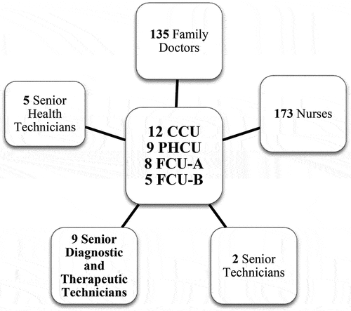 Figure 1. Primary Health Care Teams and Health Professionals understudy.