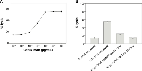 Figure S7 ADCC activity against A431 cells mediated by cetuximab.Notes: (A) Concentration-dependent curve of cetuximab-mediated ADCC activity against A431 cells by NK-92-hCD16V-GFP cells. A431 cells were incubated with NK-92-hCD16V-GFP cells at an E:T ratio of 10 to 1 along with indicated concentrations of cetuximab (0.00001–10 μg/mL). The ADCC activity was determined based on the 4-hour lactate dehydrogenase release into the supernatant by A431 cells. The results are presented as the percent cell lysis in the antibody-treated groups compared with 100% lysis in the 1% Triton X-100 lysis buffer-treated group. (B) ADCC activity of cet-PEG-dexSPIONs against A431 cells by NK-92-hCD16V-GFP cells. A431 cells were incubated in the absence or presence of 10 μg Fe/mL synthesized iron oxide nanoparticles. Cetuximab 0.5 μg/mL served as a positive control. The data are representative of three independent experiments and are presented as the mean ± standard deviation of four determinations.Abbreviations: ADCC, antibody-dependent cell-mediated cytotoxicity; cet, cetuximab; dex, dextran; PEG, polyethylene glycol; SPIONs, superparamagnetic iron oxide nanoparticles.