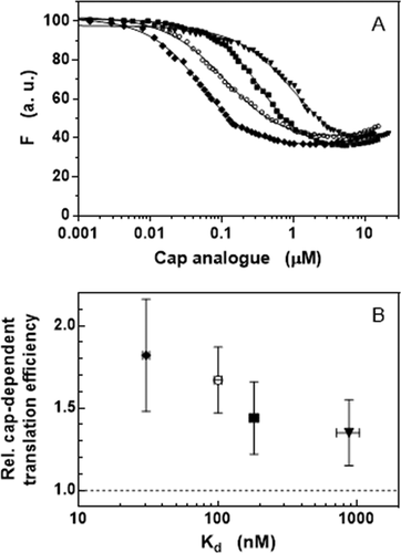Figure 4. Increased affinity to eIF4E of N2-modified cap analogs. (a) Binding curves obtained by intrinsic protein fluorescence quenching upon the complex formation with (◆) bn2m27,2ʹOGpppG, (○) m27,2ʹ-OGpppG, (■) bn2m27,3ʹOGpppG, and (▼) (p-OCH3bn)2m27,3ʹOGpppG. (b) Correlation between the affinity to eIF4E and the relative cap-dependent translation efficiency