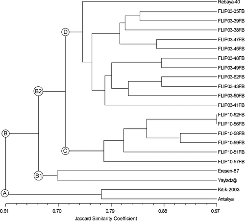 Figure 2. UPGMA dendrogram of 22 faba bean genotypes based on Jaccard similarity coefficients converted from SSR marker data.