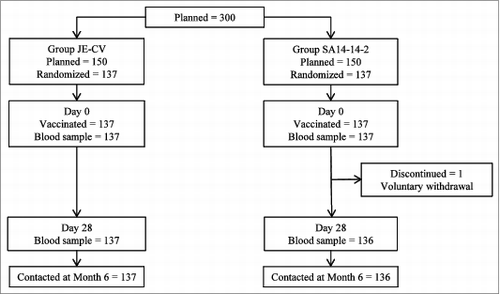 Figure 1. Disposition of children.1 JE neutralizing antibody titer ≥ 10 (1/dil) in children who were seronegative (titer < 10 [1/dil])at baseline or a ≥ 4-fold rise in JE neutralizing antibody titers in children who were seropositive (titer ≥ 10 [1/dil]) at baseline;2 JE neutralizing antibody titer ≥ 10 (1/dil).