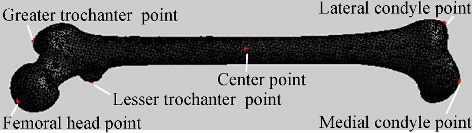 Figure 4. Centre point and salient points of femur model.