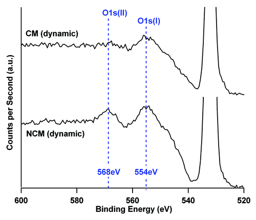 Figure 5. O1s loss spectrum of TCP-T ceramic after 8 d in NCM and CM culture media in dynamic conditions. The O1s photoelectric peak is located at 532 eV. The area ratio between the two components of the loss spectrum (554 eV and 568 eV) are modified by the culture conditions indicating a modification of the ceramic phases. The two spectra are represented with the same ordinate scale.