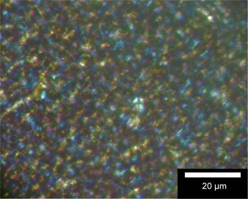 Figure 7 Photomicrograph of a lamellar liquid crystal (containing 10% C12-25 acid PEG-8 ester as emulsyfing agent), with the presence of a Maltese cross. Magnified 40×.