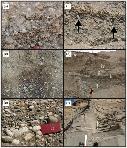 Figure 7. Photographs of sand and gravel units that are from the pre-Catfish Creek Till and Waterloo Moraine aquifers. (a) Open-framework cobble gravel with manganese oxide staining. (b) Isolated, discontinuous deposits of open-framework gravel (denoted by the arrows) within matrix-supported medium sand and gravel. (c) Contact between cobble gravel and silty Catfish Creek Till. (d) Stratigraphic architecture in the Waterloo Moraine which includes successions containing (i) gravel overlain by (ii) lacustrine mud, (iii) gravel, (iv) sand, and (v) silt. (e) Cobble gravel shown in Figure 6d with an open framework and basal medium sand matrix. (f) Bedded, well-sorted medium sand fining upwards to fine sand.