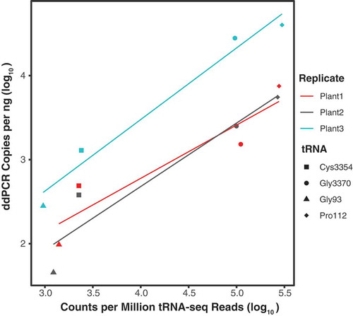 Figure 5. Droplet digital PCR (ddPCR) copies correlate with number of tRNA-seq reads. ddPCR copies per ng of cDNA plotted against counts per million tRNA-seq reads for four A. thaliana tRNA genes. Adjusted R2 values for separate linear regressions on biological replicates 1, 2, and 3 were 0.79, 0.85, and 0.96, respectively. When data points were averaged across biological replicates, linear regression yielded an adjusted R2 of 0.91 and a p-value of 0.03