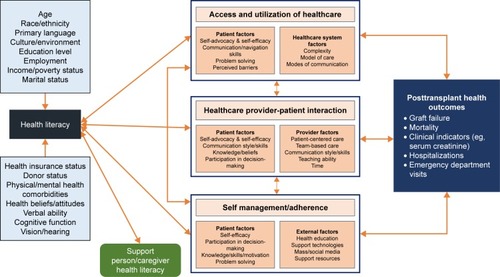 Figure 1 Health literacy model in transplantation (HeaL-T): patient-level factors, healthcare-level factors, and outcomes associated with health literacy in the solid-organ transplant population.a,15,16