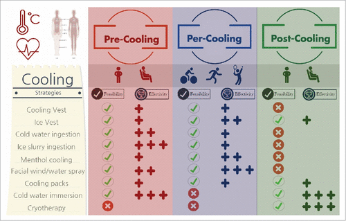 Figure 4. Infographic of the feasibility and effectivity of pre-, per- and post-cooling strategies. The effectivity of cooling techniques is classified as small (+), moderate (++) or large (+++).