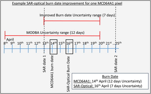 Figure 3. Example SAR-assisted burn date implementation for a MODIS Burned area Pixel during April. It demonstrates that at the lower date level the SAR data (Max Backscatter decrease detected at VH difference image for 13 April and 25 April) provides the lowest possible burn date, while at the upper date level the MCD64A1 uncertainty upper limit at 23rd April is the limiting factor. The new burn date is the average date between the upper and lower date limits. Therefore, using an effective combination of SAR and optical-based data can improve estimated burn date and reduce date uncertainty.