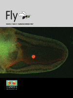 Cover image for Fly, Volume 1, Issue 5, 2007