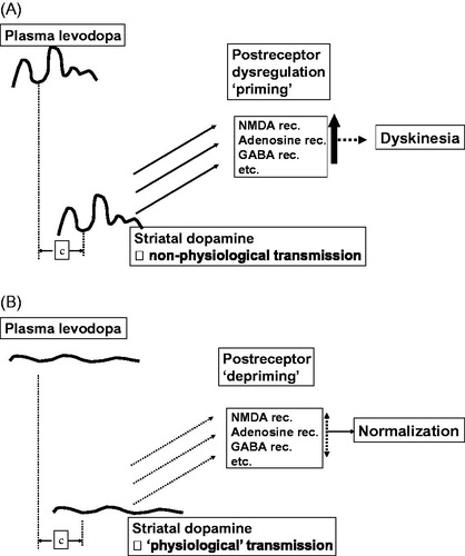 Figure 1. Theoretical sketches of the relationship between mode of delivery of dopaminergic drugs and the development of motor complications including dyskinesias. A: The non-physiological stimulation of dopamine receptors with pulsatile drug delivery, priming for dyskinesias; several other neurotransmitter systems, including inhibitory GABA and excitatory glutamate signalling, are involved in this complex process. B: A suggested primary treatment strategy where continuous drug delivery provides more physiological stimulation of dopamine receptors, a ‘depriming’, and a subsequent normalization of motor fluctuations and dyskinesias.