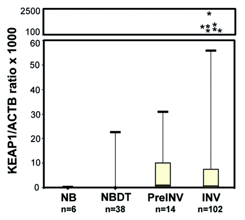Figure 1. Boxplots of KEAP1 promoter methylation levels in normal breast tissues from reductive mammoplasty (NB), normal breast distant from tumor (NBDT), pre invasive lesions (PreINV) and invasive cancer (INV). Methylation levels are expressed as the KEAP1/ACTB ratio multiplied by 1,000. The boxes mark the interquartile range, (interval between the 25th and 75th percentile). The lines inside the boxes denote median values, *denote the outliers.