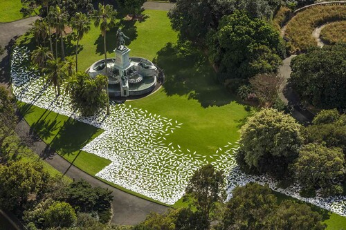 Figure 4: Kaldor Public Art Project 32: Jonathan Jones’ barrangal dyara (skin and bones), gypsum, kangaroo grass, 8-channel soundscape, dimensions variable. Installation view showing architectural footprint of the 1879 Garden Palace, Royal Botanic Garden, Sydney, 17 September–3 October, 2016. Photo: Pedro Greig.