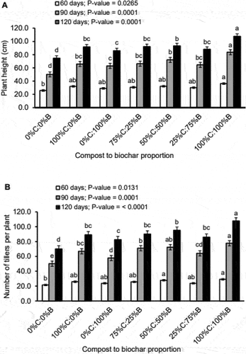 Figure 1. Means of plant height (A) and number of tillers per plant (B) of Desho grass after 60, 90 and 120 days of growing for the different proportions of the combined application of compost (C) and biochar (B). Error bars indicate standard errors of the means. Different letters above the histograms of each growing period indicate significant differences among means, using Tukey’s test, at p < 0.05.
