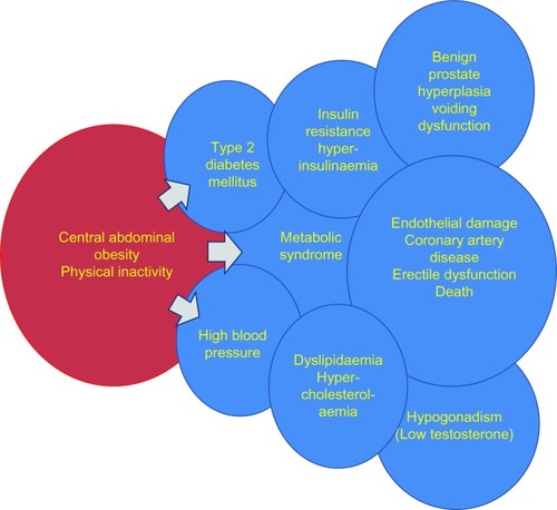 Figure 3 The links between obesity and affected health parameters.