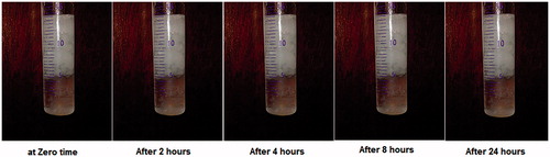 Figure 1. Light photos showing floating behavior of optimized GBP raft formula at different time intervals in 0.1 N HCl.