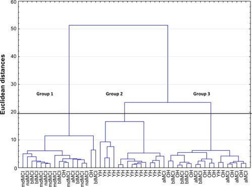 Figure 2 Dendrogram of spatio-temporal walking variables during WTMT.