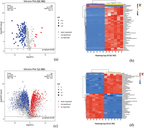 Figure 6. Differential metabolite analysis (Group A:JDSB, Group C: jiaotou). Volcano diagrams of (a) GC – MS (c) and LC – MS differential metabolites. Heatmap of the top 50 differential metabolites from (b) GC – MS and (d) LC – MS.