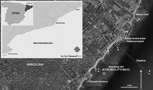 Figure 1. Map of the study area showing the sampling station.