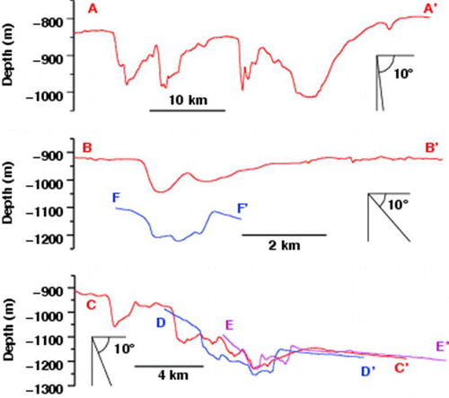 Figure 9  Profiles across selected pockmarks showing slopes, shapes of bottoms, and both symmetry for some and asymmetry for others. Profile locations are shown in Fig. 8.