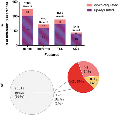 Figure 1. (a) The number of differentially up- and down-regulated gene features between treatment (UV-B) and control (WL) groups in somatic cells. Note. N is the total number of gene features with and New represents the number of unannotated gene features; (b) Differentially expressed genes (i.e., 0–1, 1–2, & >2 log2 fold change) in somatic cells.