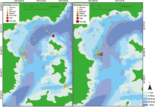 Fig. 10  Spatial distribution of relative species density, all substrata (left), muds (right).