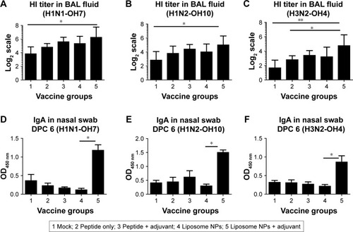 Figure 4 Virus-specific HI and secretary IgA antibody responses in vaccinated and virus-challenged pigs at DPC 6.Notes: BAL fluid samples were analyzed for HI titers against (A) SwIAV H1N1-OH7; (B) H1N2-OH10 (heterologous to challenge virus); and (C) H3N2-OH4 (heterosubtypic to challenge virus). Likewise, mucosal IgA antibody response in nasal swab was determined by ELISA against (D) H1N1-OH7; (E) H1N2-OH10; and (F) H3N2-OH4 IAVs. HI titers are shown in geometric mean ±95% CI. Data were analyzed by non-parametric Kruskal–Wallis test followed by Dunn’s post hoc test. Asterisk refers to statistical difference between two indicated pig groups (*P<0.05 and **P<0.01).Abbreviations: BAL, bronchoalveolar lavage; DPC, day post-challenge; HI, hemagglutination inhibition; NPs, nanoparticles; SwIAV, swine influenza A virus.