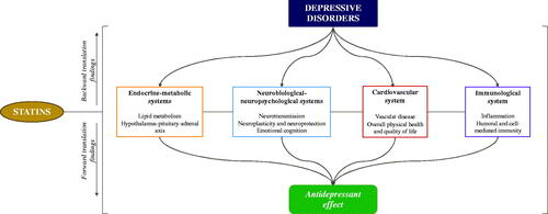 Figure 1. Statins as a probe for depressive disorders physiopathology and antidepressant effect.