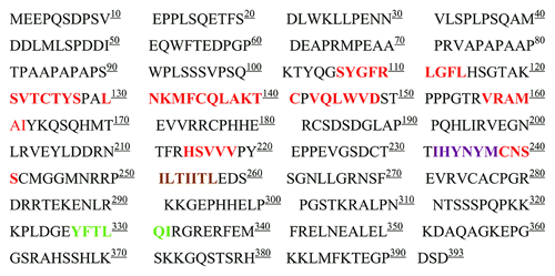 Figure 2. Human p53 primary sequence and aggregation hot spots colored according to the bioinformatics prediction method used. Aggrescan (red), Tango (light green), Aggrescan and Tango (brown), Aggrescan and Waltz (purple).