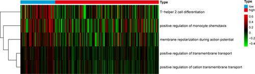 Figure 3 GSVA-derived clustering heatmap of differentially biological process between CD24 low and high expression group in ABC-DLBCL patients.