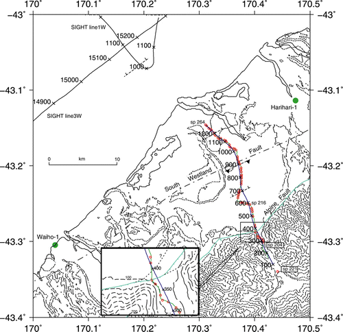 Fig. 2  Simplified topography of the Whataroa region (topographic contours at 100 m, 200 m and thereafter at 200 m intervals). The seismic profile is delineated by the shot positions shown by red circles (sp 221: offset shot; sp 204: start of main part of the line; sp 216: start of dogleg; sp 264: end of line), geophone locations shown by a fine green line , and Common Depth Point (cdp) locations shown in dark blue annotated at 100 cdp intervals. Alpine Fault trace (simplified, light blue) and South Westland Fault trace (dash-dotted line) after Cox & Barrell (Citation2007). Interpreted basement faults are shown by short dashed lines. Drillholes Waiho-1 and Harihari-1 are marked by solid green circles and labelled. Inset: detailed location of seismic line past the bluff. Topographic contours at 100 m intervals are shown by long dash lines; shot points (sp 203–211) by red circles and cdp locations (annotated every 50 cdp) by a black line. Alpine Fault (simplified) is shown by a light blue line, with detailed alternate interpretations (e.g. Cox & Barrell Citation2007) by dashed black lines with question marks.