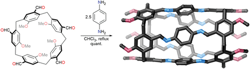 Figure 1. Sue and co-workers’ synthesis of chiral nanotubes.