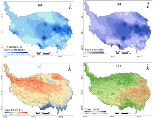 Figure 5 Spatial distribution of accumulated snow depth (a), snow cover days (b), the days below 0 °C (c) and grass yield (d) in the QTP (Note: all the values are dimensionless and are normalized into 0-1).