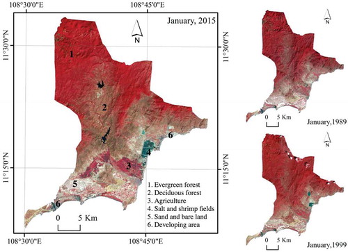 Figure 2. False color Landsat images of the study area from January 1989 to January 2015 show land use changes over 26 years, with the expansion of agriculture (3), shrimp fishing, and solar salterns (4).