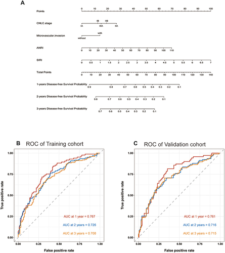 Figure 3 (A) the nomogram for predicting the 1-, 2-, and 3-year DFS of HBV-HCC patients after curative hepatectomy. (B and C): the 1-year, 2-year and 3-year ROC values of DFS in training cohort (B) and validation cohort (C).