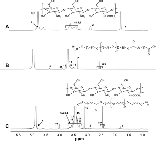 Figure S2 The 1H-NMR spectra of (A) CS, (B) mPEG-SA and (C) mPEG-g-CS.Note: The numbers in A–C represent the corresponding atoms in the structures shown in each figure part.Abbreviations: CS, chitosan; mPEG, methoxy poly(ethylene glycol); NMR, nuclear magnetic resonance.