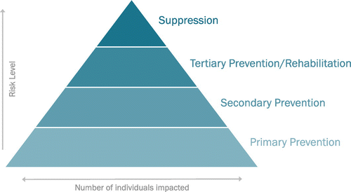 Figure 6. Public health model, revised version.