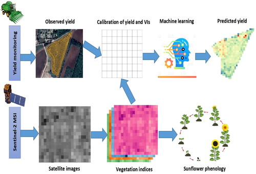 Figure 3. Overall workflow adopted in this study.