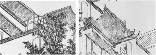 Figure 3. Architectural structure and pattern of main ridge in the print.