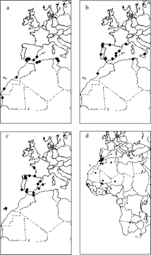 Figure 1.  Movements of (1a) Phoenicopterus ruber, marked with satellite trackers, redrawn from Amat et al. (Citation2005). (1b) Plegadis falcinellus, (1c) Larus cachinnans and (1d) Ciconia ciconia.