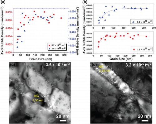 Figure 1. Plots of (a) average bubble density (number/nm2) vs grain size for the two different ion fluences showing a very similar trend; and (b) bubble density (number/nm2) vs grain size for the two different ion fluences with exponential decay fitting. (Fitting curves are and for the 3.6 × 1019 and 3.2 × 1020 ions m−2, respectively. Bright-field underfocus TEM images showing: nanocrystalline (NC) grains of size less than 35 nm adjacent to larger grains for (c) 3.6 × 1019 and (d) 3.2 × 1020 ions m−2.