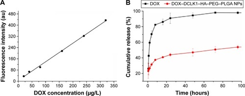 Figure 4 In vitro release of doxorubicin from DCLK1–HA–PEG–PLGA NPs in pH 7.4 release media.Notes: (A) The standard curve of DOX. (B) The DOX release rate of DOX–DCLK1–HA–PEG–PLGA NPs.Abbreviations: DCLK1, doublecortin-like kinase 1; DOX, doxorubicin; HA, hyaluronic acid; NPs, nanoparticles; PEG, poly(ethylene glycol); PLGA, poly(d,l-lactide-co-glycolide).