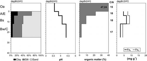 FIGURE 7. Soil texture, pH value (measured in 0.01 M CaCl2 dilution), organic matter content, and Fed and Feo content of profile 4